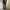 Levi's Streetwear Jeans Pria multicolor photo 7
