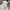 Jean-Michel Basquiat Streetwear Sportswear Hoody Pria white photo 4