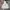 Jean-Michel Basquiat Streetwear Sportswear Hoody Pria white photo 1
