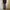 EDWIN Streetwear Jeans Pria multicolor photo 7