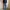 Streetwear Jeans Pria multicolor photo 7