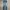 Streetwear Jeans Pria Multicolor