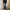 Streetwear Jeans Pria multicolor photo 6