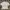Alexander Wang Casual T-shirt Pria white photo 2
