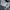 Polo Ralph Lauren Luxury Minimalist Casual pants Pria navy photo 3
