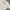 Carhartt Streetwear Gorpcore T-shirt Pria white photo 2