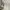 Polo Ralph Lauren Luxury Minimalist Casual pants Pria tan photo 5