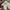 Luxury Casual T-shirt Pria cream photo 5