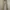 Polo Ralph Lauren Luxury Minimalist Casual Pants Pria Tan