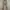 Polo Ralph Lauren Luxury Minimalist Casual pants Pria tan photo 2