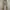 Polo Ralph Lauren Luxury Minimalist Casual Pants Pria Tan