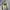 Gucci Streetwear Luxury Hoody Pria gray photo 1