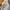 The Hundreds Streetwear Luxury Hoody Pria gray photo 4