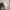 COMME des GARÇONS Streetwear Luxury Hoody Pria white photo 5