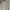 COMME des GARÇONS Streetwear Luxury Hoody Pria white photo 1