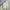 COMME des GARÇONS Streetwear Luxury Hoody Pria white photo 2