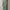Pakaian Nasional Evening dress Wanita green photo 1