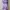 Casual Kids purple photo 1