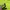 Gorpcore Sportswear Windbreaker Pria green yellow photo 5