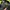 Gorpcore Sportswear Windbreaker Pria green yellow photo 8