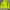 Gorpcore Sportswear Windbreaker Pria green yellow photo 3