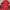 K2 Sportswear Windbreaker Pria red photo 5