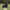 Dr. Martens Streetwear Luxury Boots Wanita black photo 4