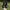 Dr. Martens Streetwear Luxury Boots Wanita black photo 2