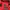Dickies Gorpcore Sportswear Windbreaker Pria red photo 4