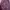 Sophie Martin Casual Backpack Wanita burgundy photo 2