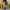 Sportswear Casual Windbreaker Pria gray yellow photo 2