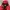 Salomon Sportswear Casual Windbreaker Pria red black photo 4