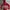Salomon Sportswear Casual Windbreaker Pria red black photo 1