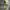 Sportswear Casual Windbreaker Pria green khaki photo 1