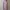 Minimalist Muslim Casual dress Wanita pink photo 1