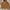 The North Face Sportswear Casual Windbreaker Pria orange photo 2