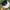 New Era Luxury Skater Hat Pria white black photo 6