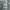 Reebok Streetwear Casual Pea coat Pria black photo 4