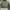SLY Streetwear Casual Bomber jacket Pria green photo 3