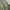 SLY Streetwear Casual Bomber jacket Pria green photo 7