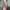 SLY Streetwear Casual Bomber jacket Pria green photo 6