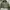 SLY Streetwear Casual Bomber Jacket Pria Green
