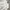 Streetwear Fleece Pria white navy photo 6
