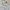 GAP Streetwear Minimalist Polo shirt Pria white blue photo 3