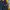 Gorpcore Sportswear Puffer jacket Pria yellow photo 5