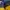 Gorpcore Sportswear Puffer jacket Pria yellow photo 8