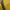 Gorpcore Sportswear Puffer jacket Pria yellow photo 7
