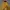 Gorpcore Sportswear Puffer Jacket Pria Yellow
