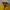 Gorpcore Sportswear Puffer jacket Pria yellow photo 2