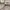National Geographic Avant Garde Suit Pria white cream photo 1